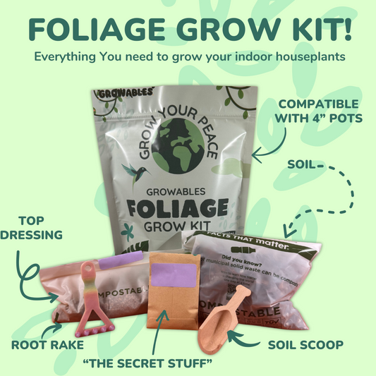 Foliage Grow Kit