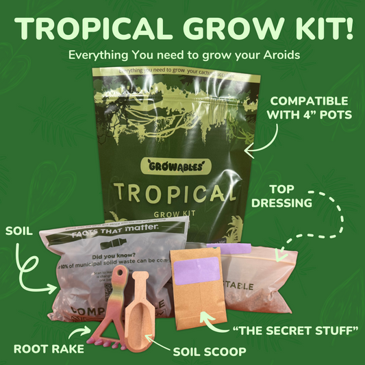 Tropical Grow Kit